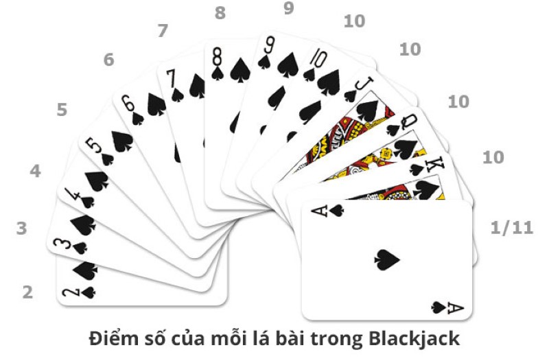 Quy trình một ván Blackjack